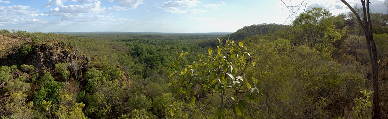 010_Litchfield_NP.jpg - Lookout im Litchfield NP
