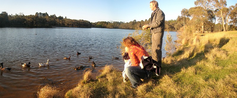 088_Wentworth_falls_lake.jpg - ...ich mach aus fast jedem Motiv ein Panorama...